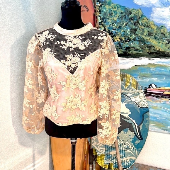 🧡Peach,Gorgeous & Sultry Tatted Lace & Mesh, Victorian-Fashioned Beauty,Size XL - Picture 5 of 16